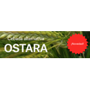 Cebada Alternativa - Ostara