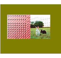 Euro-Netz 65/2 Wildverbiss