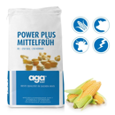 Saatmais - Power Plus Mittel (S250 K260) AGASAAT