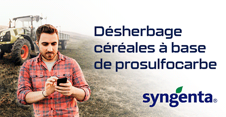 20261012_SYNGENTA_PACK_ELEVAGE
