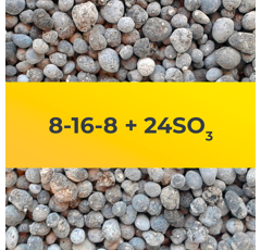 8-16-8 + 20 SO3 - Fertilizante granulado