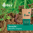 Zwischenfruchtmischung - TerraLife MaizePro organic