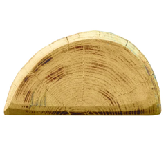 Piquet en acacia-robinier coupé en deux Ø 13 - 15 cm - PATURA