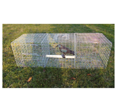 Piège à oiseaux à 3 compartiments - BOXTRAP