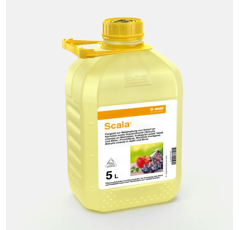 Scala® I Fungizid