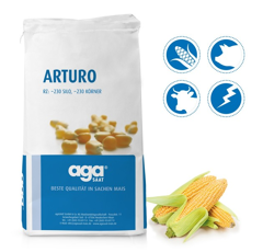 Saatmais - Arturo (S220 K220) AGASAAT