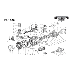 Piezas de repuesto para bomba BERTOLINI PAS 908