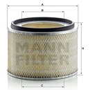 MANN  Luftfiltereinsatz C20019