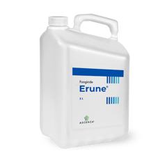 ERUNE