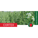 Pois protéagineux jaune de printemps - Cortex