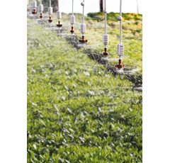 Lot de 100 têtes micro-asperseurs spinnet 50l/h à 200l/h 4 mm - NETAFIM