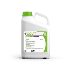 Colt