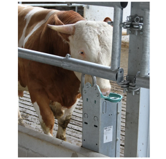 Support en inox pour abreuvoir 25R | SUEVIA