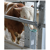 Support en inox pour abreuvoir 25R | SUEVIA