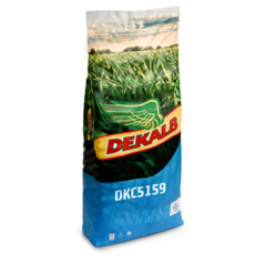 Maïs grain 520 - DKC5159