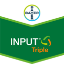 Input Triple I Systemisches-Fungizid