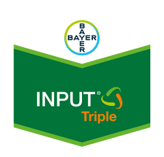 Input Triple I Systemisches-Fungizid
