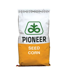 Maïs ensilage 280 - P8683