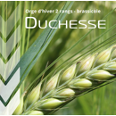Orge d'hiver brassicole - Duchesse - BIO