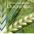 Orge d'hiver brassicole - Duchesse - BIO