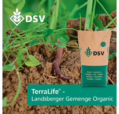 Zwischenfruchtmischung - TerraLife Landsberger Gemenge organic