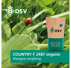 Zwischenfruchtmischung | COUNTRY Feldgras 2487 Organic