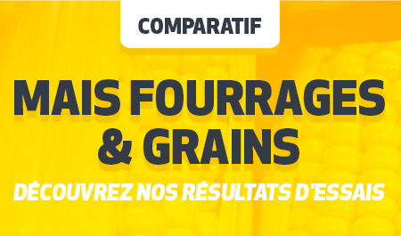 CÉRÉALES À PAILLES Campagne 2022