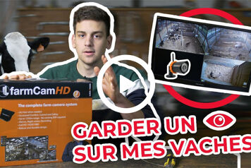 Surveiller mes vaches en HD grâce à mes caméras FarmCam