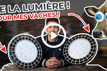 L'éclairage LED agricole pour mes vaches !
