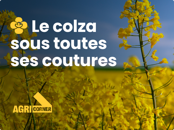 Agricorner colza
