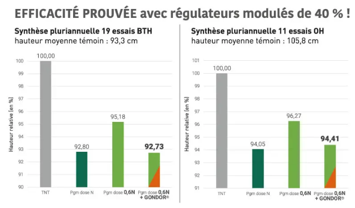 Efficacité désherbage céréales automne 2021 - Efficacité sur vulpins et ray-grass T+150j - Bazentin (80)