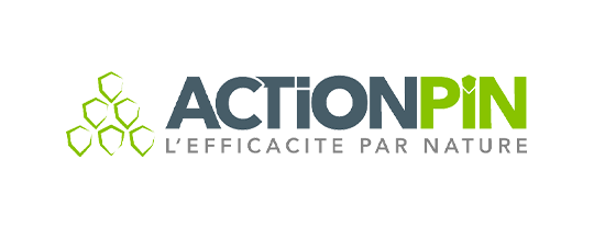  logo ActionPin