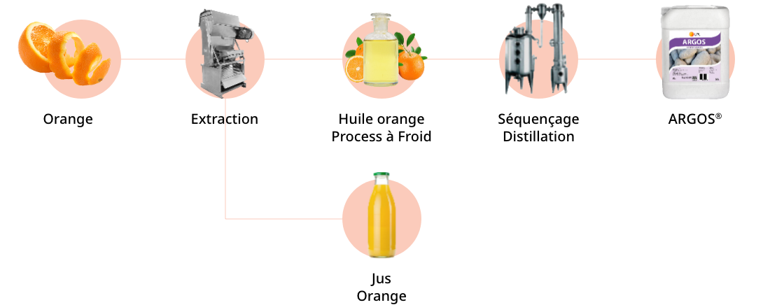 Schema