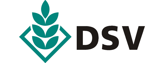  logo DSV