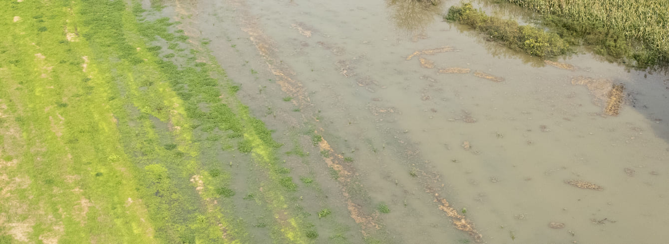 Eure-et-Loir : Force majeure accordée pour la PAC face aux intempéries exceptionnelles