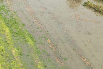 Vue de près d'un champ inondée