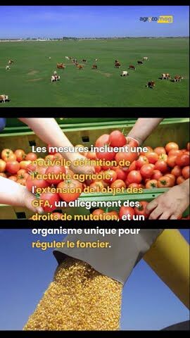 miniature vidéos d'actualités shorts agrycomag