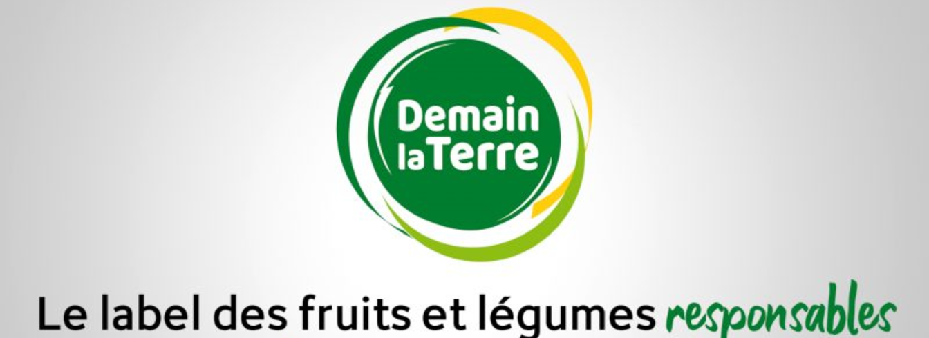 20 ans association demain la terre