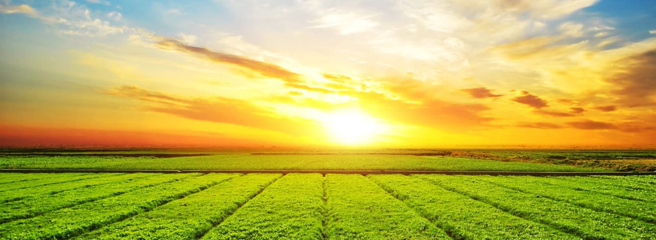 Industries Agroalimentaires : Nouveau Fonds et Appel à Projets pour 2030