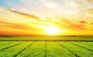 Industries Agroalimentaires : Nouveau Fonds et Appel à Projets pour 2030