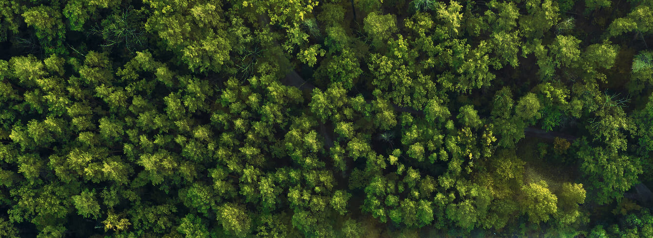 Agriculture : le Sénat assouplit les règles sur la biodiversité, vives réactions
