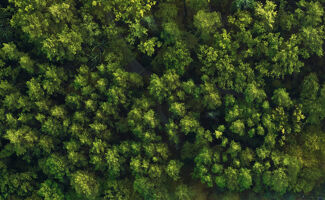 Agriculture : le Sénat assouplit les règles sur la biodiversité, vives réactions