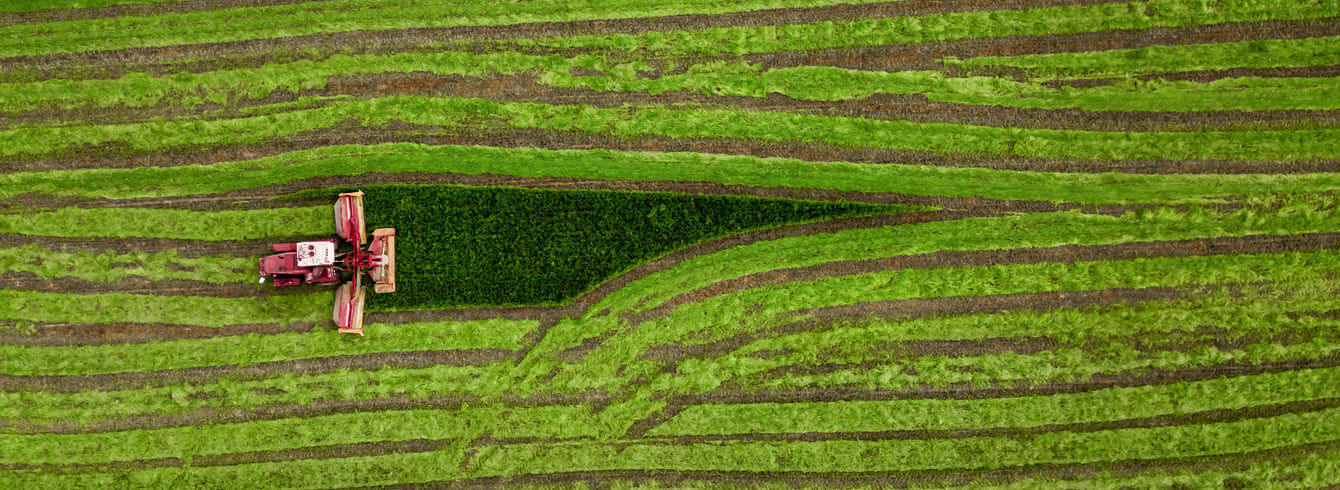 Salon de l'Agriculture 2025 : Un Bilan Positif avec Plus de 607 000 Visiteurs et une Atmosphère Apaisée
