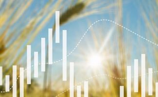 Fluctuations des Cours des Céréales : Baisse générale des Prix