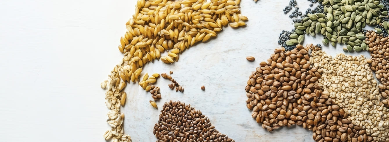 La productivité agricole mondiale en berne : Un essoufflement préoccupant 