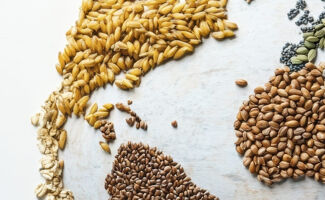 La productivité agricole mondiale en berne : Un essoufflement préoccupant 