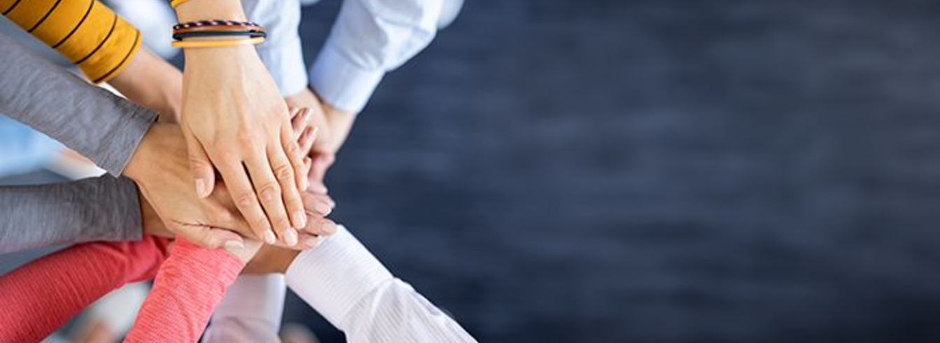 Réussir la transmission de son exploitation grâce à des aides en Bretagne