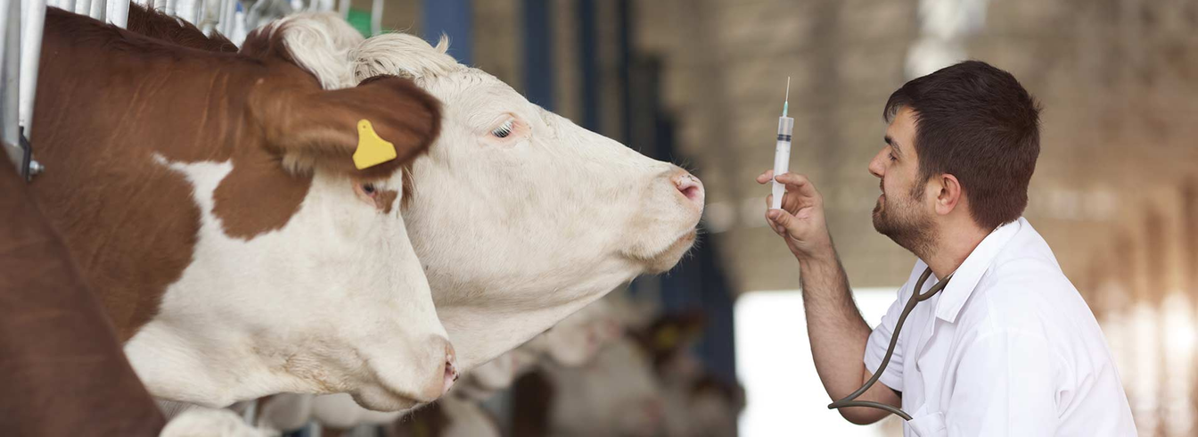 Un appel à projets pour réduire l’antibiorésistance