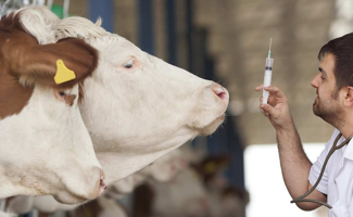 Un appel à projets pour réduire l’antibiorésistance