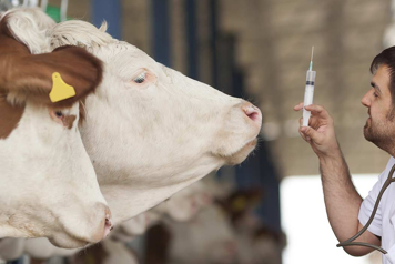 Un nouvel appel à projet pour l'antibiorésistance